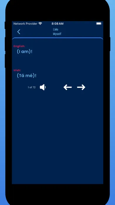 Learn Irish Phrases & Words Screenshots