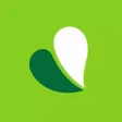 Pure Green Pure Green