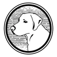 Yellow Dog Coffee Roasters