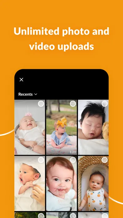 Honeycomb Baby Photo Album Screenshots