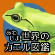 あわしま世界のカエル図鑑 あわしま世界のカエル図鑑