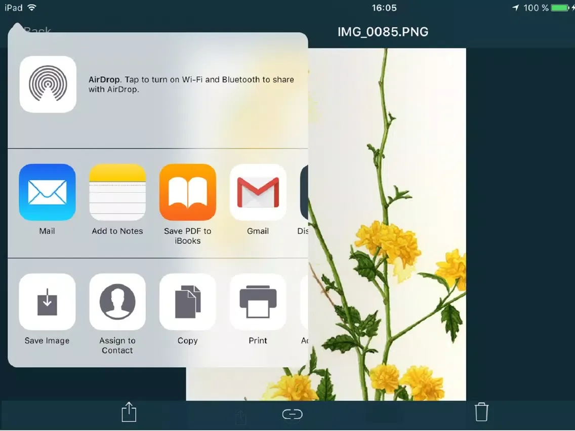 Disco Virtual v2 iPad 应用截图