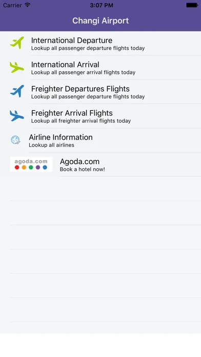 Tangkapan layar Changi Airport Flight Status