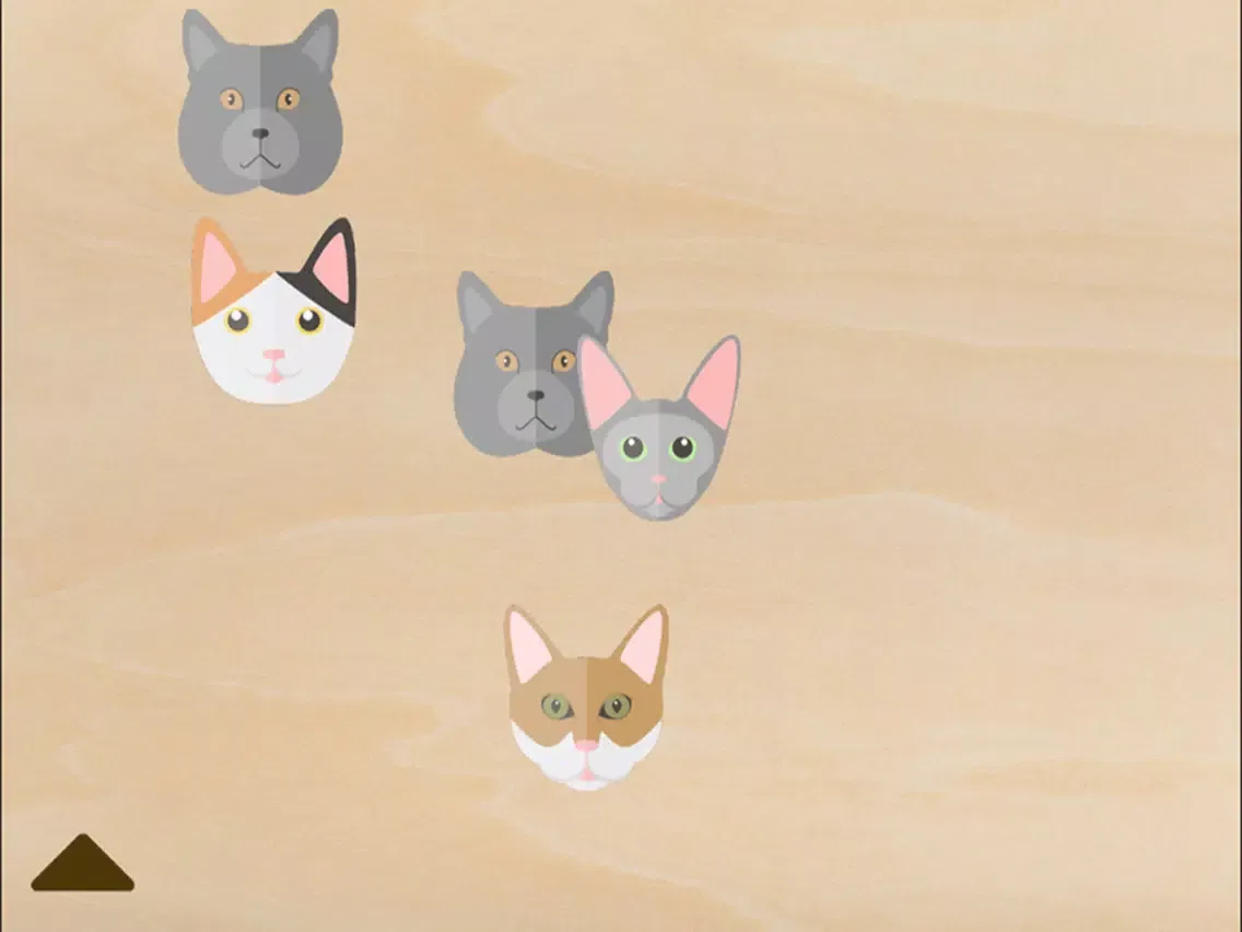 TapTapMeow iPad 应用截图