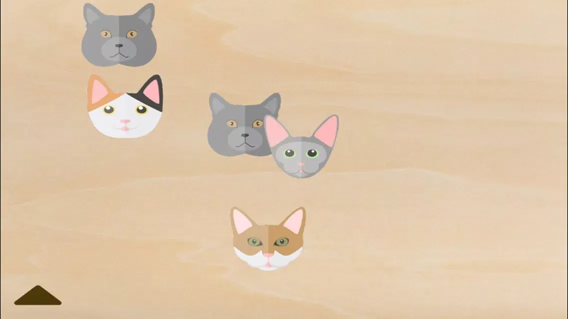 TapTapMeow应用截图