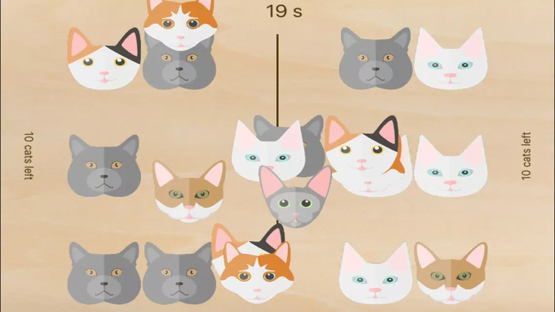 TapTapMeow应用截图