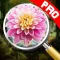 Hidden object: Mystery park pro