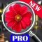 hidden object: The enchanted city Pro