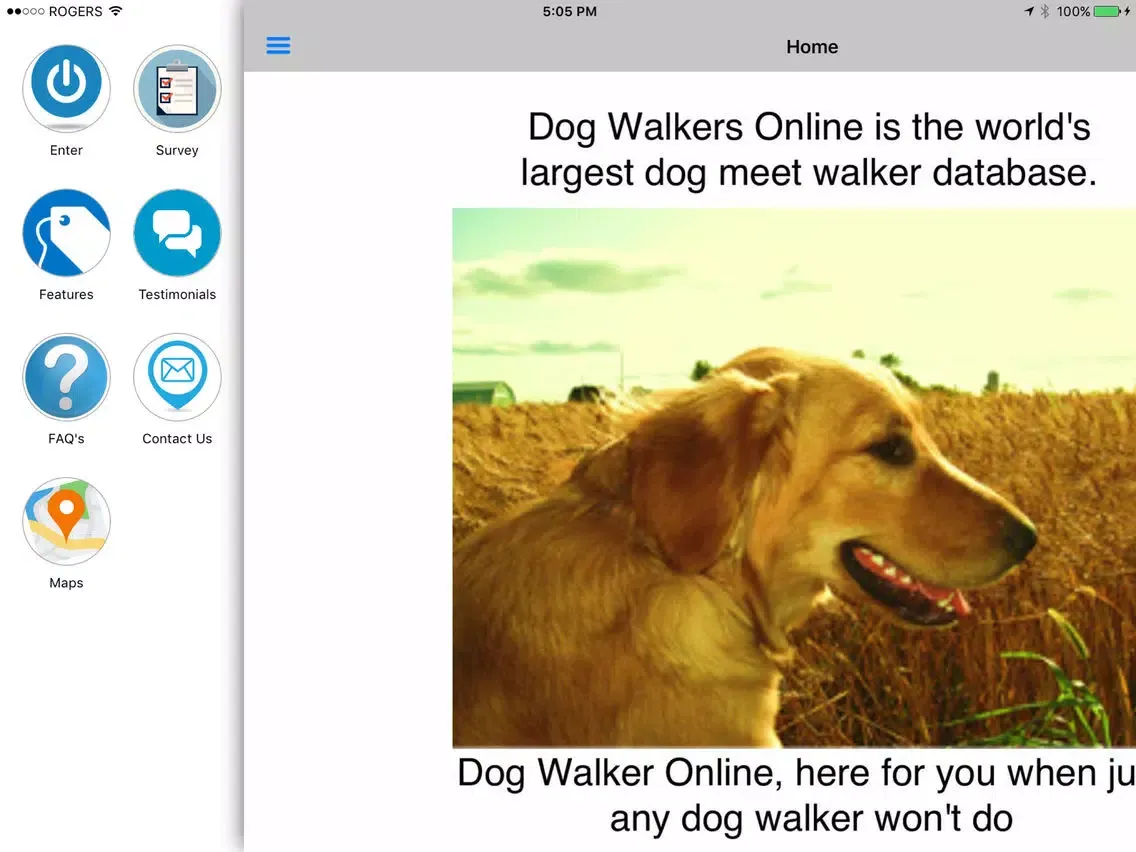 Ảnh chụp màn hình của Dog Walker Online iPad 