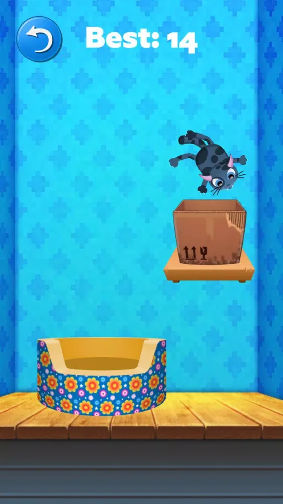 Kitty Dunk应用截图