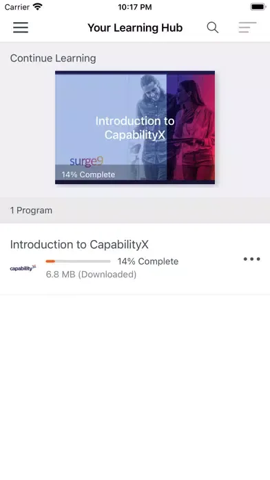 Zrzuty ekranu capabilityX