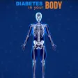 Diabetes In Your Body