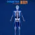 Diabetes In Your Body