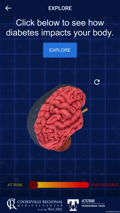 Diabetes In Your Body Screenshots