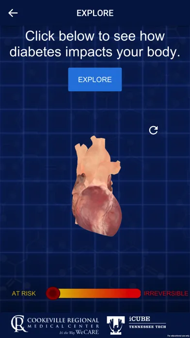 Diabetes In Your Body Screenshots