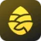 松果出行