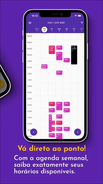 Tua Agenda: Para Profissionais应用截图