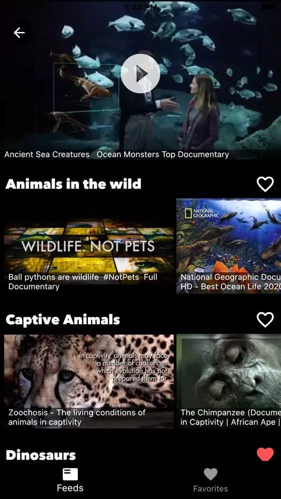 Docutimes - Documentary App應用截圖