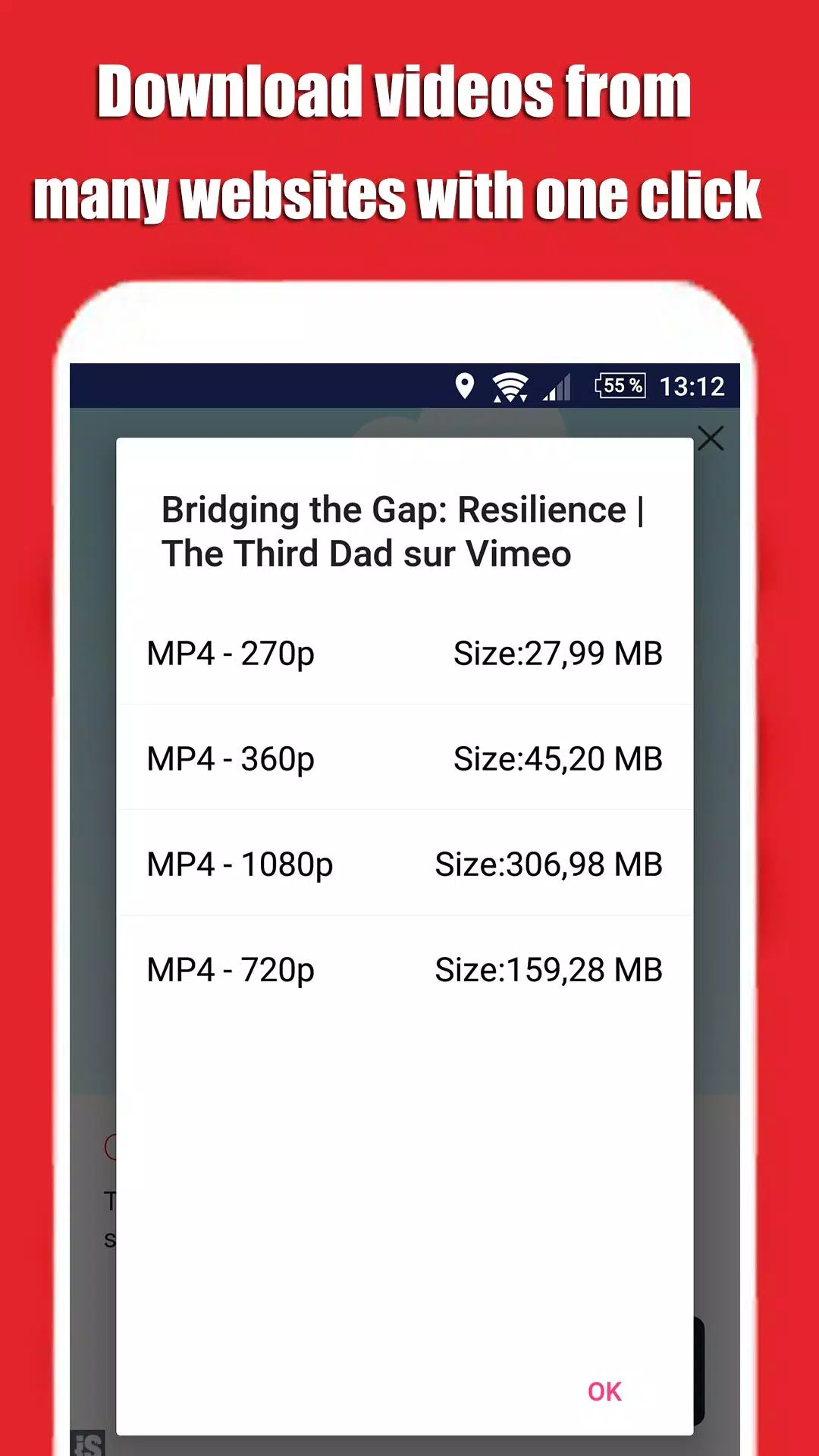 Social Tube Video Downloader Screenshots3