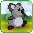 Koala Bear Zoo Animal Escape Run