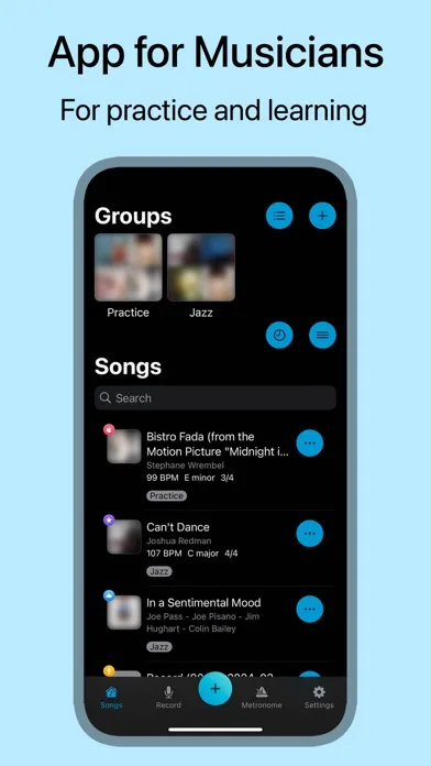 Tangkapan layar Music Looper - for Musicians