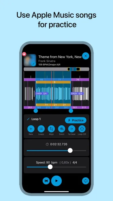 Tangkapan layar Music Looper - for Musicians