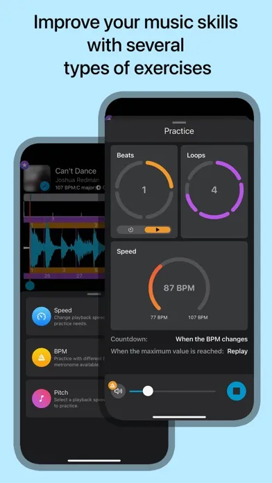 Tangkapan layar Music Looper - for Musicians