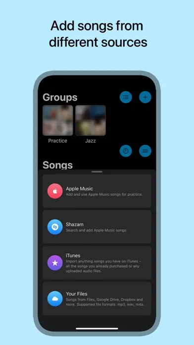 Tangkapan layar Music Looper - for Musicians