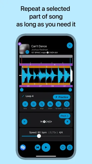 Tangkapan layar Music Looper - for Musicians