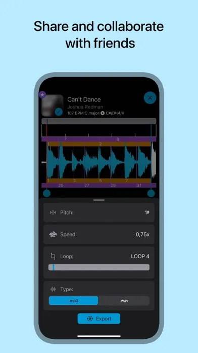 Tangkapan layar Music Looper - for Musicians