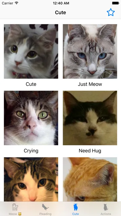 صور Cat sound - for cat lovers