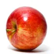 Health Calculators