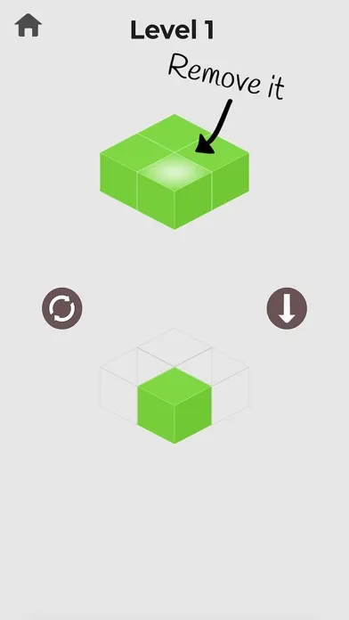 Tetrid Game应用截图