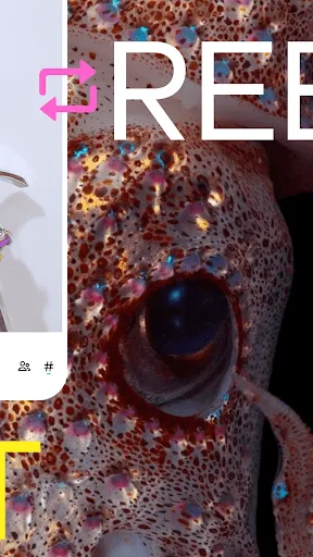 Tumblr—Fandom, Art, Chaos Screenshots