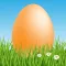 Eggy Hunt