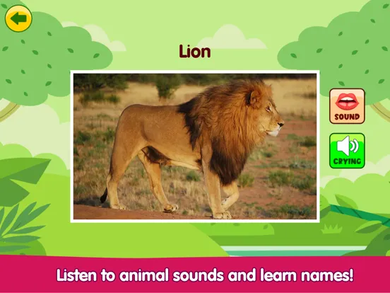 Zrzuty ekranu ABC Animal - Play Animal Noise iPad 