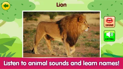 Zrzuty ekranu ABC Animal - Play Animal Noise