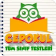 CepOkul: Tüm Dersler Test Çöz