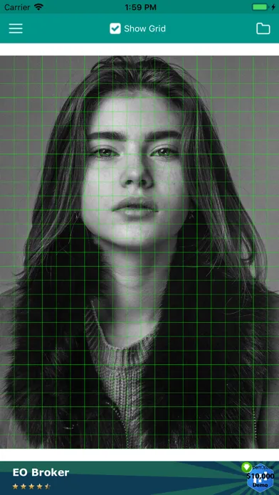 Drawing Grid For The Artist スクリーンショット