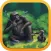 Conservation Crisis