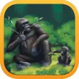 Conservation Crisis Conservation Crisis