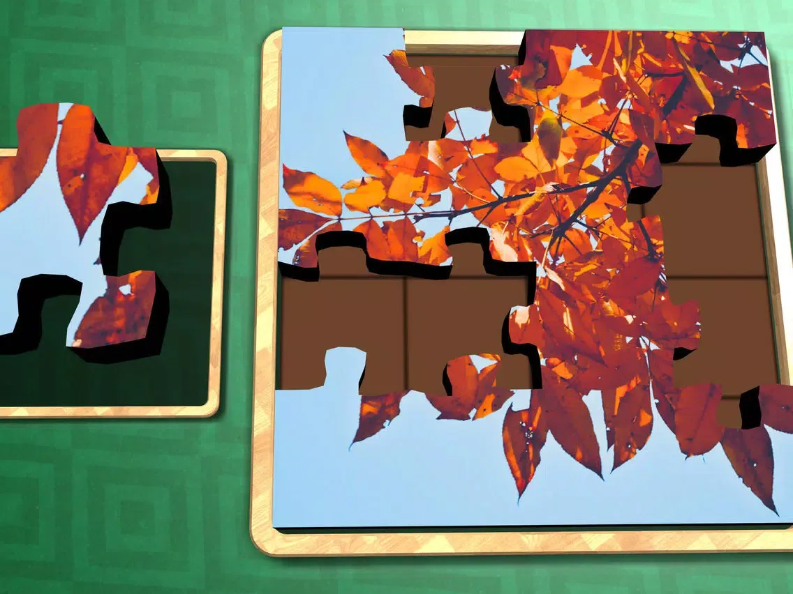 Jigsaw Solitaire Autumn iPad 应用截图