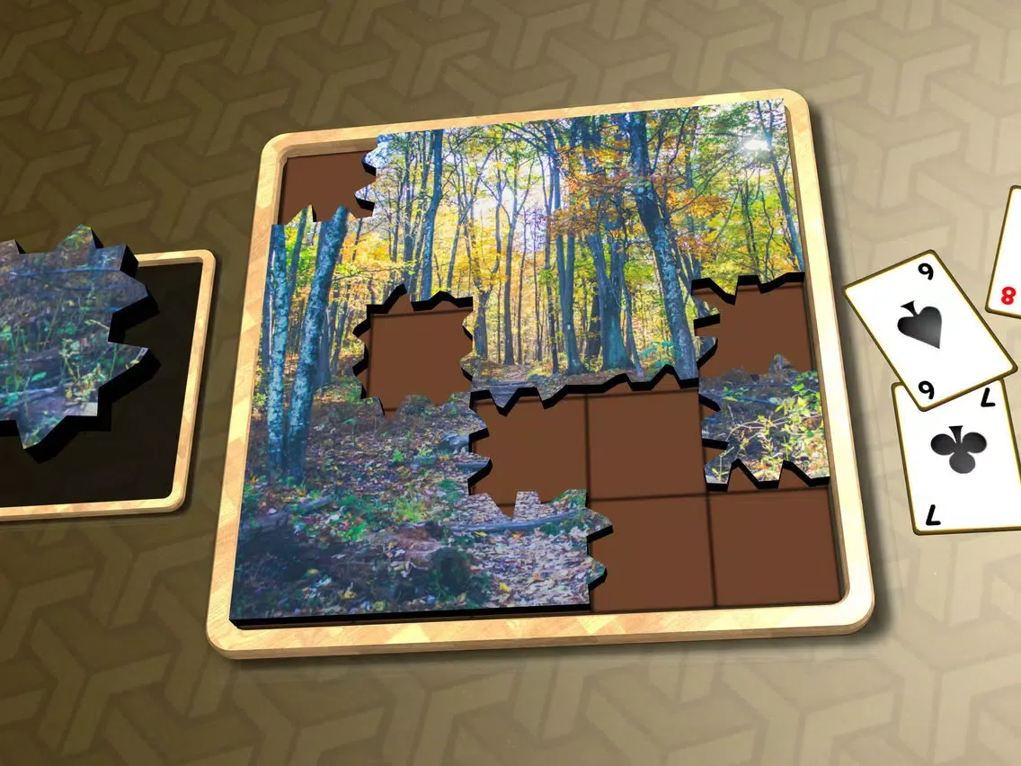 Jigsaw Solitaire Autumn iPad 应用截图
