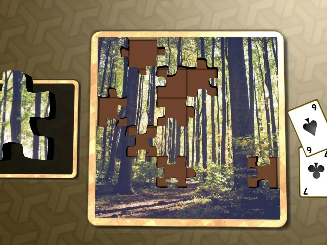 Jigsaw Solitaire Autumn iPad 应用截图