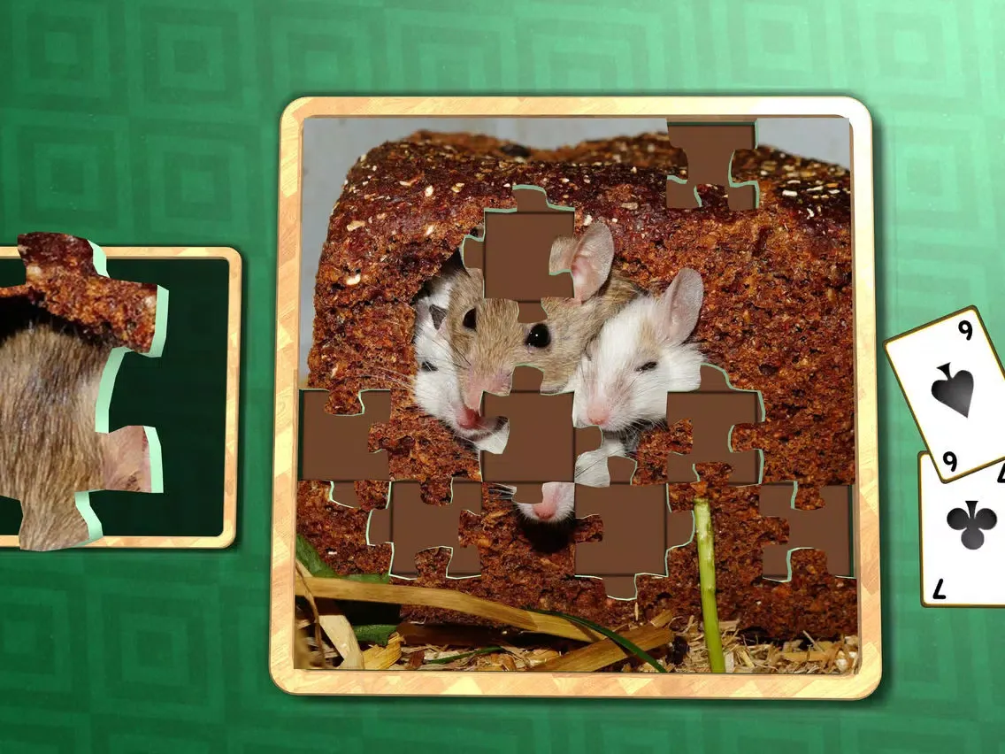 Jigsaw Solitaire Pets iPad  Ekran Görüntüleri