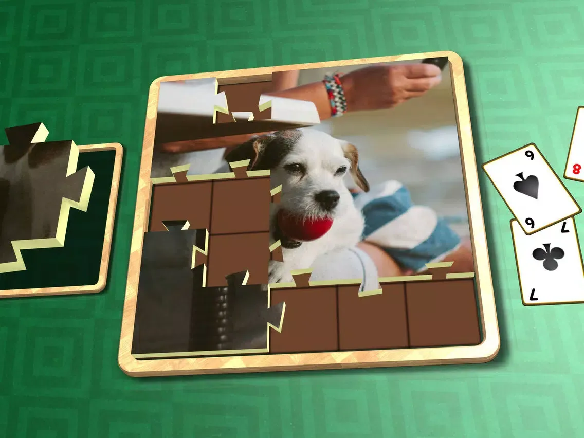 Jigsaw Solitaire Pets iPad  Ekran Görüntüleri