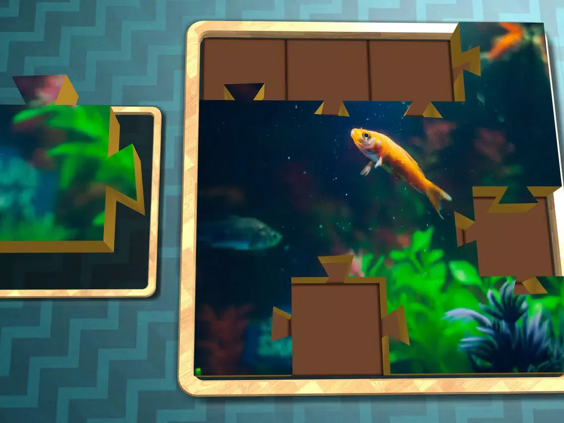 Jigsaw Solitaire Pets iPad  Ekran Görüntüleri