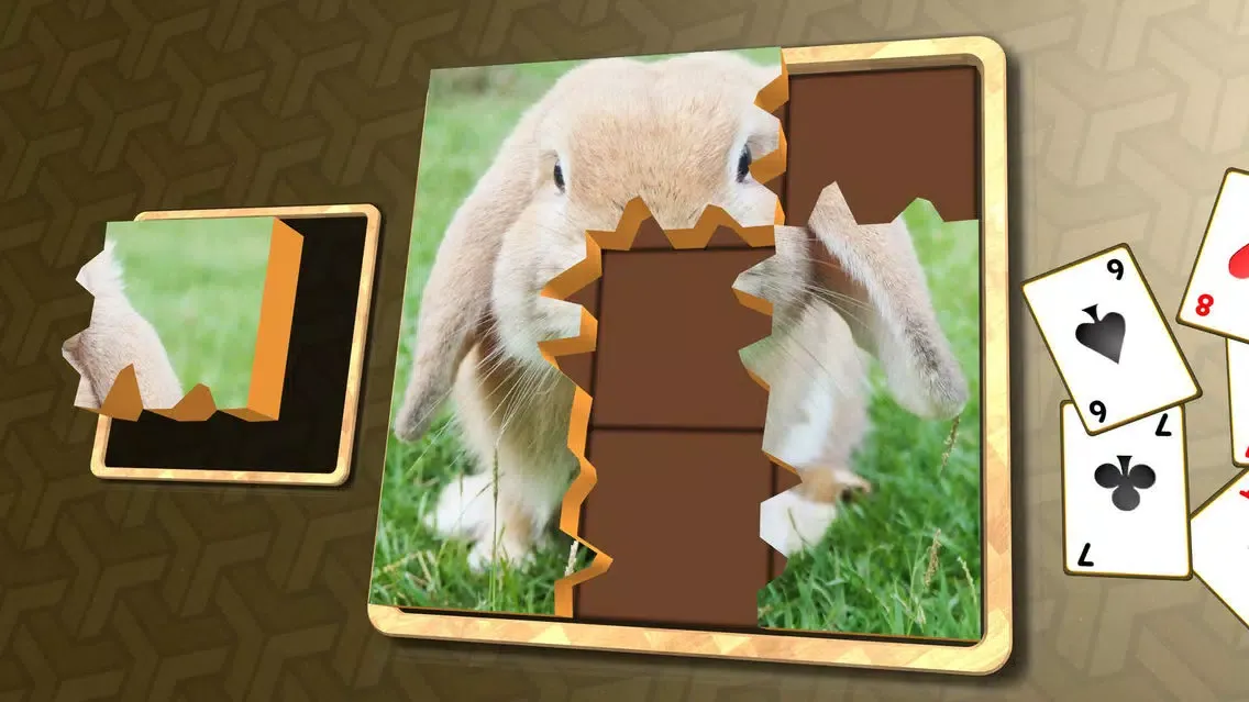 Jigsaw Solitaire Pets Ekran Görüntüleri