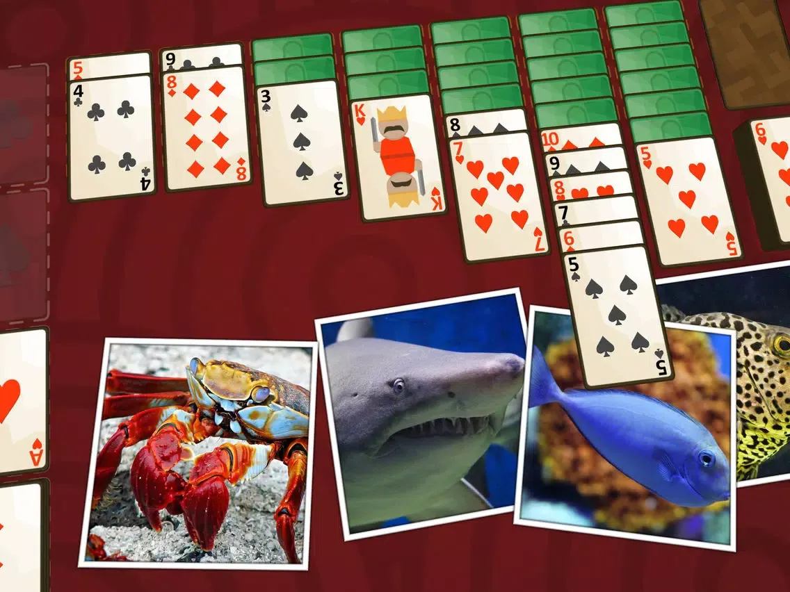 Solitaire Marine Life iPad  স্ক্রিনশট
