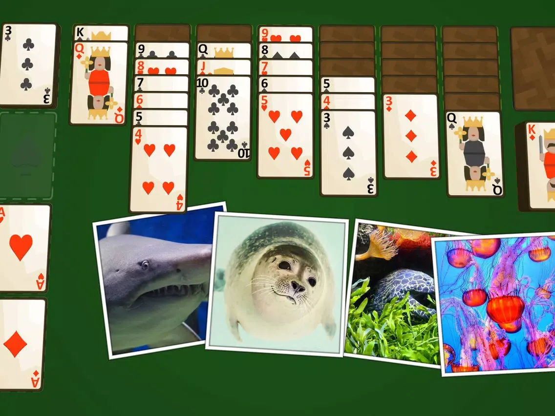 Solitaire Marine Life iPad  স্ক্রিনশট